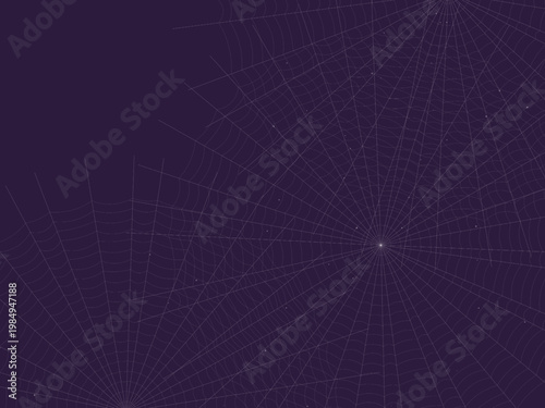 Radial Spider Web Cobweb Silk Thread Design