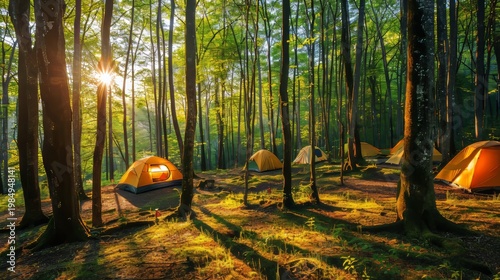 Tranquil summer forest camping adventure with tent, campfire, and outdoor exploration