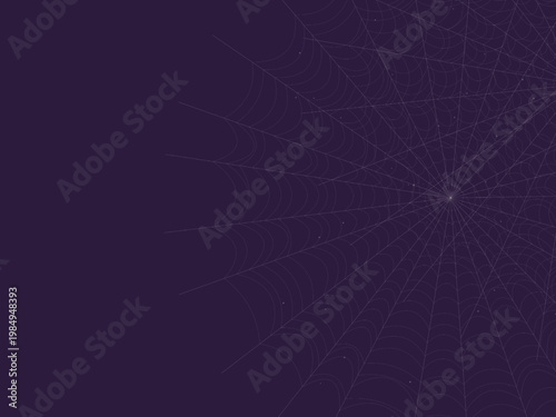 Spider Web Pattern Dew Drop Nature Background