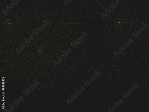 Delicate Spider Web Pattern Geometric Background