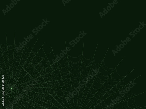 Delicate Spider Web Pattern Geometric Background