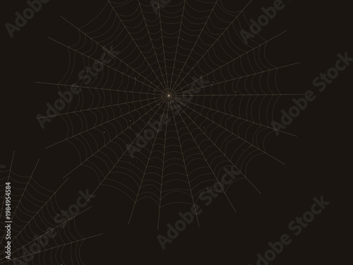 Radial Spider Web Cobweb Silk Thread Design