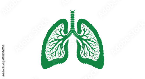 Healthy human lungs with detailed bronchial tubes and alveoli structure, medical illustration showing respiratory