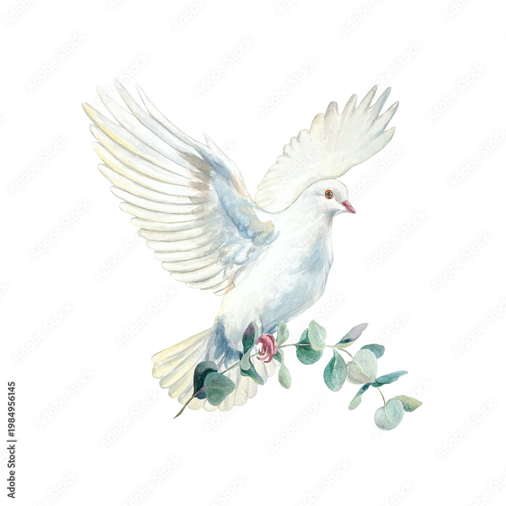 Fototapeta premium Flying white dove with a green eucalyptus branch. Purity and faith. Hand drawn watercolor illustration, isolated. For designing cards and invitations for first communions, baptisms and weddings.