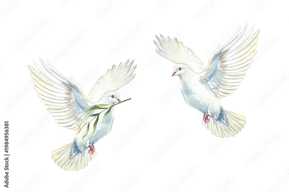 Obraz premium Two flying white doves. Symbol of purity, hope and faith. Hand drawn watercolor illustration, isolated. Suitable for designing cards and invitations for First Communion, Baptism and Easter.