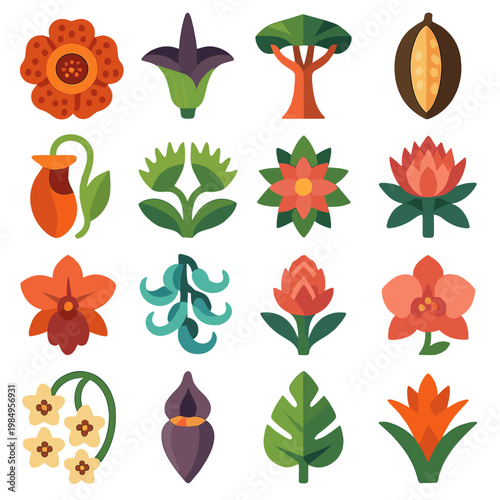 Collection of stylized tropical flowers, plants, and a cocoa pod in a grid layout