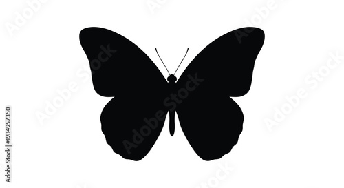 A strikingly simple black butterfly depiction against a white background silhouette