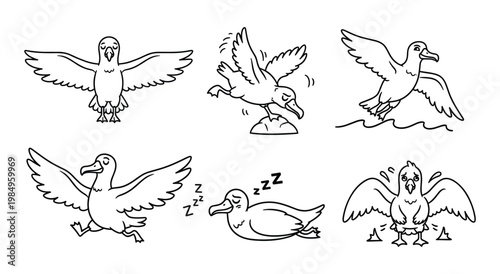 Cartoon Duck and Goose Bird Character Set in Dynamic Action Poses, Hand Drawn Outline Doodle Style, Isolated