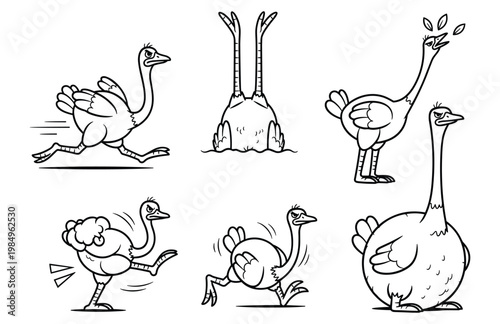 Funny Cartoon Ostrich Character Set in Hilarious Poses Including Head in Sand, Hand Drawn Outline Style