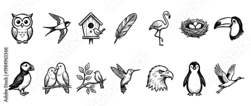 Diverse collection of hand-drawn bird illustrations, featuring an owl, swallow, flamingo, toucan, penguin, eagle, hummingbird, puffin, birdhouse, nest, and feather, in a charming sketch style