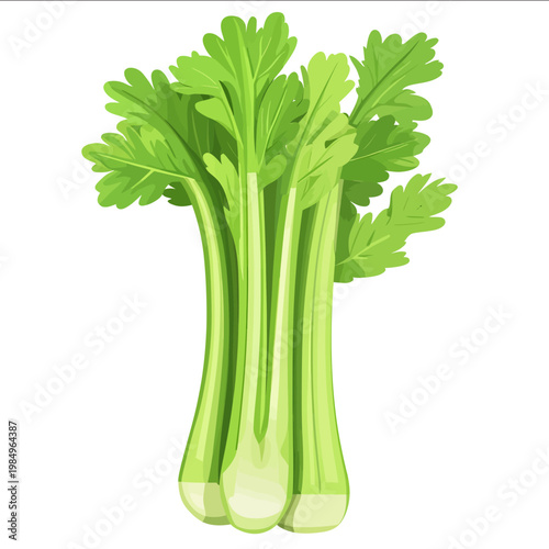 simple vector celery clipart illustration white background vector art style simple design flat illustration no shadows