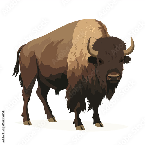 simple vector American bison clipart illustration white background vector art style simple design flat illustration no shadows