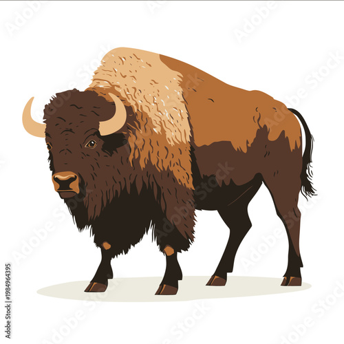 simple vector bison clipart illustration white background vector art style simple design flat illustration no shadows