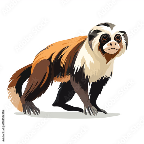 simple vector tamarin clipart illustration white background vector art style simple design flat illustration no shadows