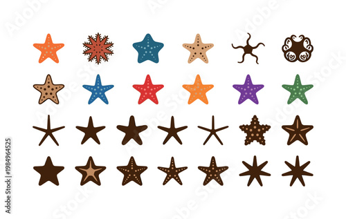 Sea star species like five arm starfish spiny crown cushion star and colorful reef echinoderms found on ocean floors clean solid