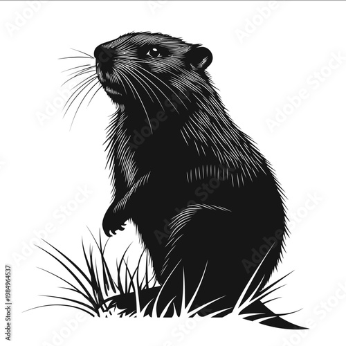 black silhouette coypu on a white backgrounk vector