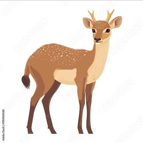 simple vector Eohippus clipart illustration white background vector art style simple design flat illustration no shadows