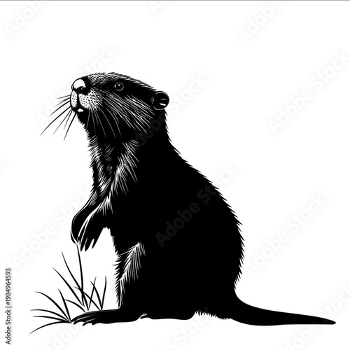 black silhouette beaver on a white backgrounk vector