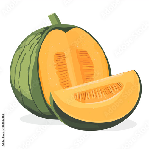 simple vector cantaloupe clipart illustration white background vector art style simple design flat illustration no shadows