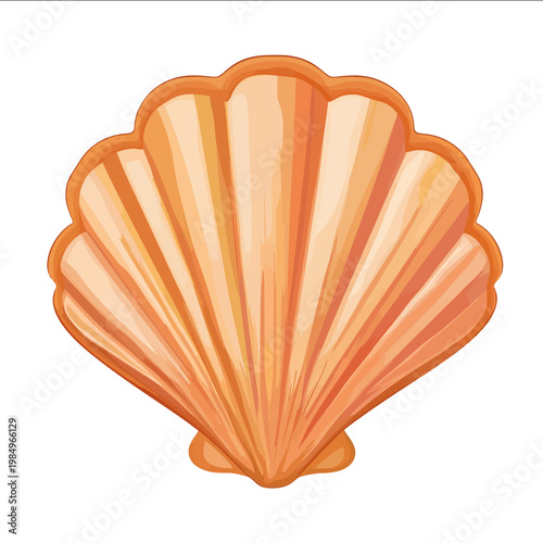 simple vector scallop clipart illustration white background vector art style simple design flat illustration no shadows