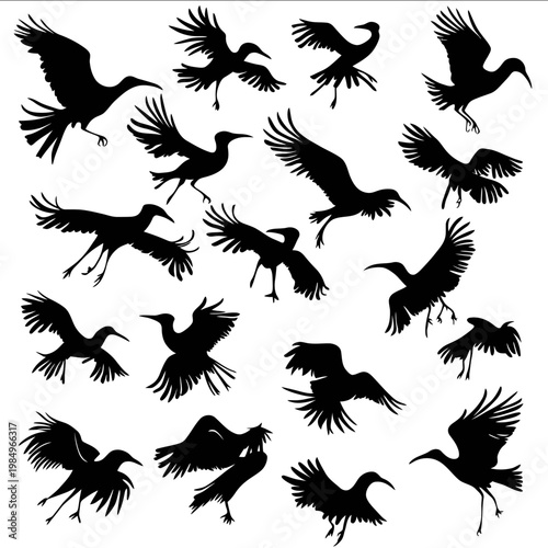 black silhouette flightless birds on a white backgrounk vector