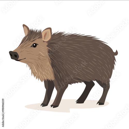 simple vector javelina clipart illustration white background vector art style simple design flat illustration no shadows