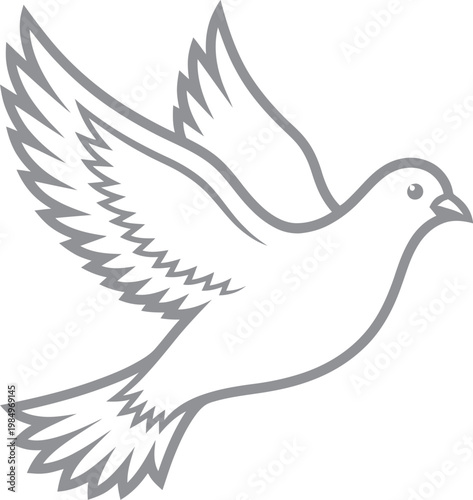 Gray dove in flight with spread wings and sleek design