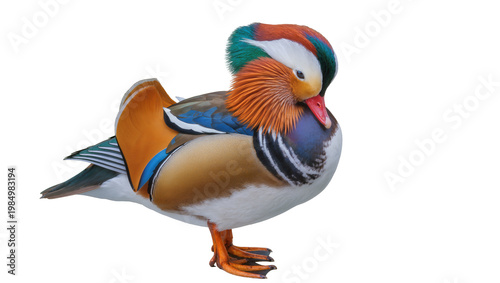фотографія Vibrant mandarin duck with colorful plumage, isolated on transparent background