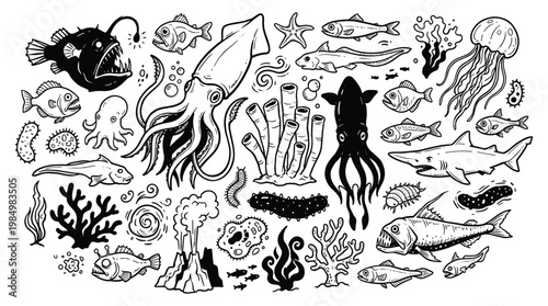 Underwater scene with various sea creatures and plants on display in a doodle style.