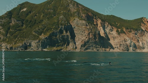 Family of killer whales hunt for fish in bay with rocky coastline.