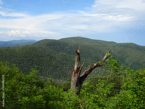 The scenic beauty of the Blue Ridge Mountains, during the summer season. Shenandoah National Park, Virginia.