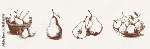 Ripe pears basket whole sliced fruit rustic set. Includes basket, single pear and cut half with seeds. Illustrations for packaging and recipes in hand drawn style.