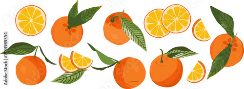 A set of flat vector illustrations featuring whole oranges in various positions with fresh green leaves. Clean, isolated citrus elements for food packaging, pattern design, and healthy lifestyle brand