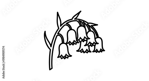 A line drawing of a flowering plant.