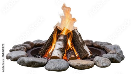 Bild auf Leinwand Burning birch logs in a stone fire pit, isolated on transparent background