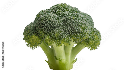 Photos Fresh green broccoli florets and stem, isolated on transparent background