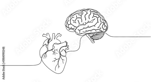 Continuous line art of human brain and heart connection.