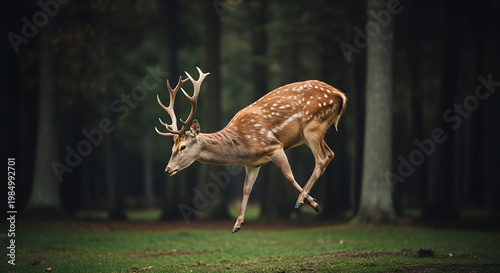 A spotted deer leaping gracefully through a forest clearing, captured in mid-air against a backdrop of lush green grass and tall trees, conveying a sense of wild freedom and natural beauty