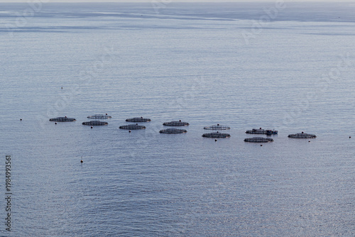 Offshore fish farm cages floating in calm sea. Aquaculture infrastructure used for sustainable seafood production in open water environment