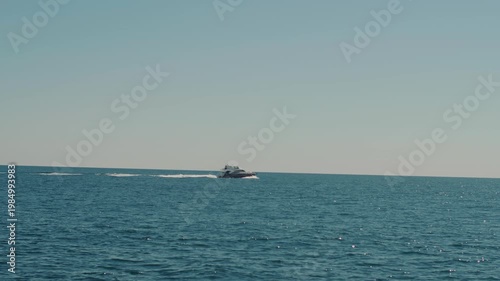 Excursion yachts carrying groups of tourists observe pods of killer whales in their natural habitat. Slow motion. Ecotourism concept