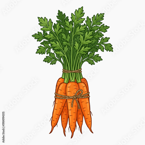A bunch of fresh carrots tied with twine, with green leafy tops. isolated on a white background. PNG