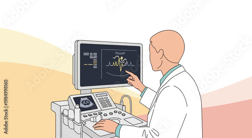 Doctor examining ultrasound scan on monitor, medical technology, healthcare concept