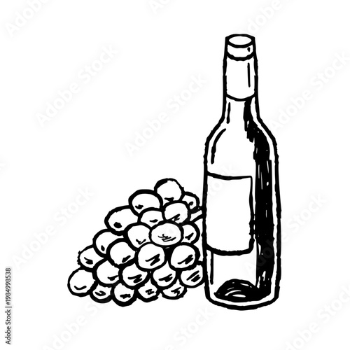 Wine grapes doodle, hand drawn bottle and fruit illustration, alcohol whimsical brushstroke set. Vineyard harvest, winery drink vintage art, rustic grape branch. Organic wine grapes doodle deco