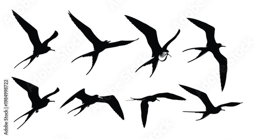 Frigatebird Silhouette Set — Bold Black Vector Illustrations in Soaring and Gliding Flight Poses
