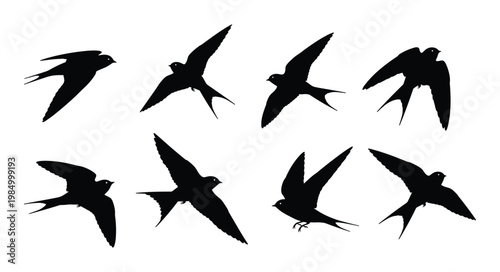 Flying Swift and Swallow Silhouette Set — Sleek Black Vector Illustrations in Dynamic Flight Positions