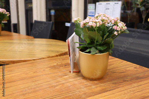 Cozy cafe interior with flowers on wooden table in Haarlem.
