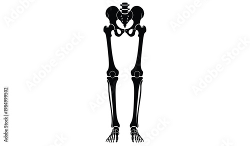A stark black illustration presents a human skeletal structure focusing on the legs and pelvis creating a dramatic silhouette high quality professional detailed modern