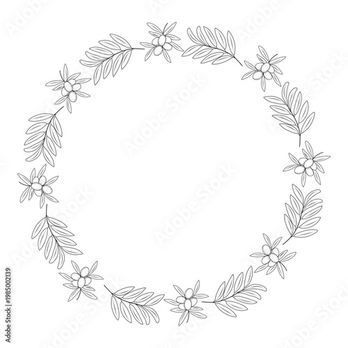 Delicate olive branch wreath with small fruits in line art style. Vector floral circle for wedding invitations, cosmetic branding, and organic product logos.