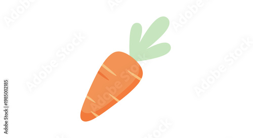 Fresh orange carrot vegetable.