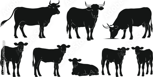 Set of Domestic Cow and Calf Silhouette Icons Featuring Cattle in Various Poses Including Grazing Standing and Lying Down for Dairy Farming Livestock Agriculture and Organic Ranching Graphic Designs